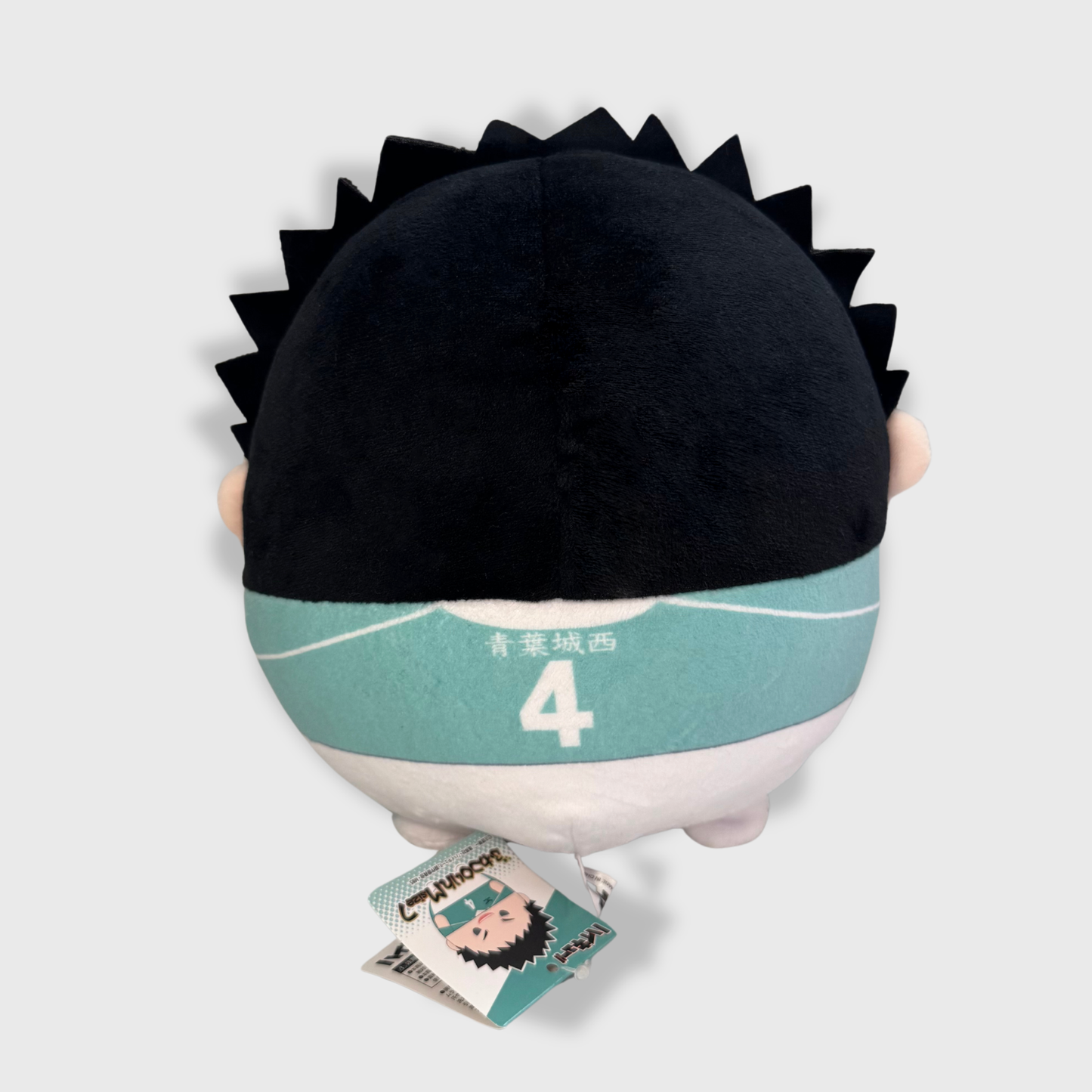 Haikyuu-!! Iwaizumi Hajime Fuwakororin M size Plush Toy