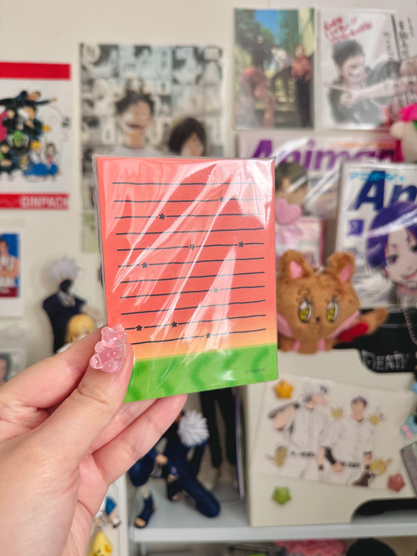 Fruity Memo Pads